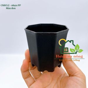 CN8CL2 - sét 5 chậu 8 cạnh nhựa PP chuyên trồng bonsai mini sen đá xương rồng để bàn size 6.7x7cm
