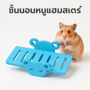ชั้นวางสัตว์เลี้ยง / ที่นอนลายหมี สำหรับหนูแฮมสเตอร์–สัตว์เล็ก ระบายอากาศดี ขนาด 15x6x5 CM