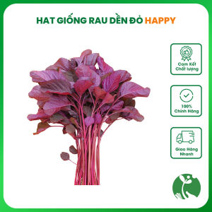 Hạt giống rau Dền đỏ Happy gói 20gr - Tỉ lệ nảy mầm > 90% - Trồng quanh năm