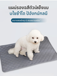แผ่นรองปัสสาวะสัตว์เลี้ยงสุนัขแมว แห้งง่าย สามารถใช้ซ้ําได้ แผ่นกันลื่นดูดซับกลิ่นและกันลื่น