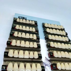 Gigi Sintetik Depan Atas Warna A35: Panduan Lengkap