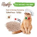 Kasty ทรายแมวเต้าหู้ กลิ่นทีรามิสุ ลาเต้ ผลิตจากถั่วลันเตาธรรมชาติ ไร้ฝุ่น เก็บกลิ่นดี เม็ดเล็ก. 