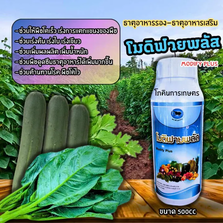 โมดิฟายพลัส ฮอร์โมนพืช เร่งต้น เร่งใบ เร่งเขียว