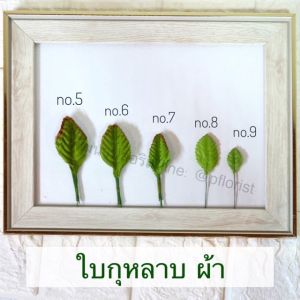 ใบกุหลาบ ห่อ 100 ใบ เบอร์ 1 - 9 ใบไม้ประดิษฐ์ ใบกุหลาบผ้า สำหรับงานฝีมือ  (สินค้าพร้อมส่ง มีบริการเก็บเงินปลายทาง)