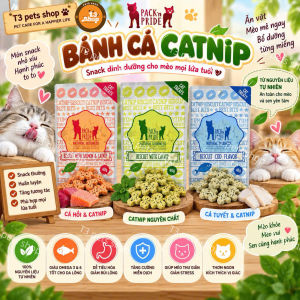 bánh cỏ catnip hình con cá 40gr dành cho mèo - T3 PETS SHOP