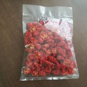 Dried Carolina Reaper Chili Pepper