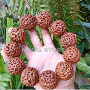GELANG RUDRAKSHA JENITRI JUMBO BESAR