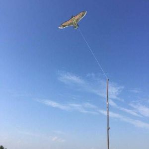 AILEBE ของเล่น ว่าว ว่าวนกอินทรีย์ ว่าวไล่นก ว่าวไล่ศัตรูพืช ขนาด 110ซม. เเถมเชือก ของเล่น เด็ก