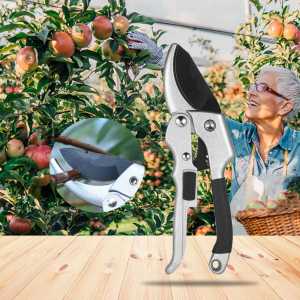 Gunting Taman Ranting Dahan Pohon Kebun Bunga Rumput Taman Garden Pruning alat berkebun