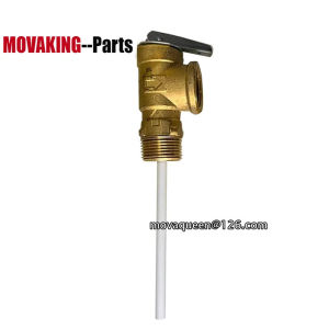 Gas Boiler Water Heater Parts DN20 Safety Valve Pressure Relief Valve For Rheem Gas Boilers Replace