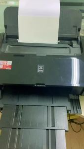 Everyglow Glow in The Dark Photo Paper: Perfect for Halloween Party Decorations