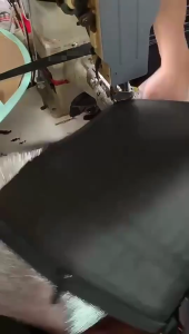 Portable Cool Bag for Groceries and Transport Waterproof Fabric Pizza Delivery Bag for Temperature Controlled