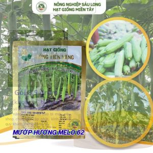 Melo 62 Hạt giống mướp hương siêu trái Đồng Tiền Vàng ( 100 hạt)