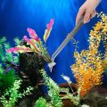 Pinset Stainless Anti Karat 48cm Pinset Aquascape Pinset Bengkok Aquarium. 