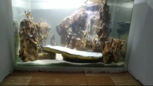 bể cá cảnh Tặng máy và cát-Thác cát