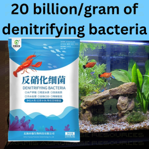 20 Billion High-Efficiency Denitrifying Bacteria Water Purification Reduces Nitrite & Ammonia 200亿_克 反硝化细菌