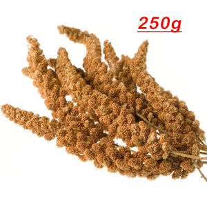 250/500g Bird Feed Spray Millet Yellow Parrot Food for Cockatiel Lovebird Hamsters