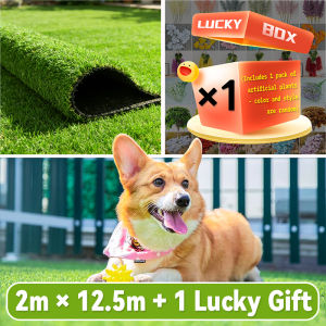 Free Mystery Plant! Artificial Grass Mat - Safe Non-Toxic Plastic Lawn for Outdoor Garden Decoration Pets & Kids Friendly.