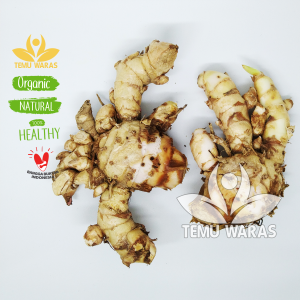Rimpang Temu Ireng 500gr atau Temu Hitam Segar - Asli Gunung Kidul