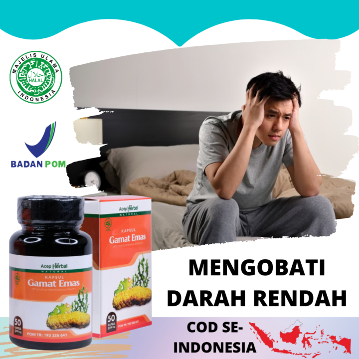 Obat Darah Rendah, Obat Herbal Tekanan Darah Rendah, Penambah Darah, Suplemen Mengobati Anemia, Kurang Darah, Buat Penderita Darah Rendah, Menormalkan Tekanan Darah, Sakit Kepala Pusing, Vertigo, Mudah Lelah, Susah Tidur Insomnia - Kapsul Gamat Emas