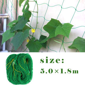 Plant Climbing Netting Nylon Flower Vine Support Rope Greenhouse Grow Fence Net Garden Tools