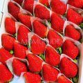 Japanese Sakuramomo Ichigo (Strawberry) Gift Box (800g). 