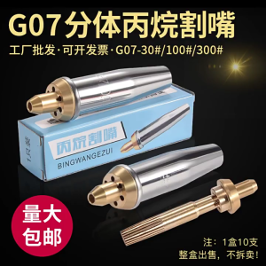 10Pcs Gas Cutting Nozzle Cutting Torch Tip Temperature Resistance Fast Cutting Isobaric Cutting Nozzle Attachment
