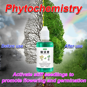 Plants flowers greenery half de