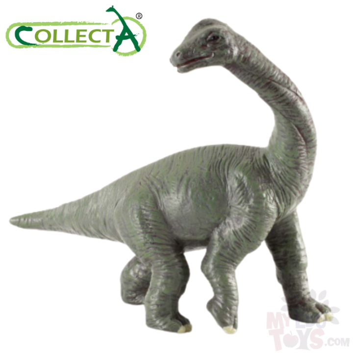 Brachiosaurus baby 88200 collecta prehistoric life baby dinosaur toys