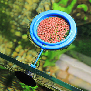 Vòng Cho Cá Ăn - Vòng Giữ Cám Nổi - Vòng Giữ Thức Ăn trong hồ cá