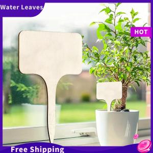Water Leaves ป้ายต้นไม้ทำจากไม้ฉลากรูปตัวทีสำหรับสวนแผ่นชื่อต้นกล้าสำหรับปลูกผักติดกลางแจ้งกันน้ำได้ฉลากเขียนด้วยลายมือ