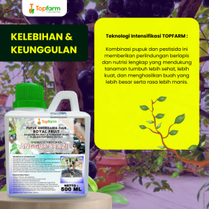 Pupuk Topfarm / Pestisida Topfarm / Pupuk Booster Anggur Brazil / Pupuk Anggur Brazil Cepat Berbuah / Pupuk Anggur Brazil / Obat Hama Ulat Tanaman Anggur / Obat Hama Pada Tanaman Anggur / Obat Hama Untuk Pohon Anggur / Obat Hama Anggur