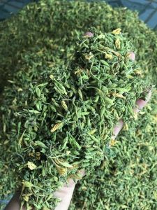 Hoa Đu Đủ Đực Sấy Lạnh Lâm Minh - Hàng Thượng Hạng - Nguyên Nụ Không Cuống Băm - Hàng Công Ty - Đổi Trả Trong 7 Ngày.