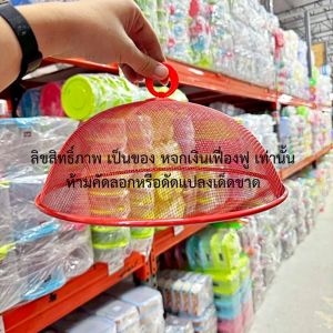 ฝาชีสแตนเลส ฝาชี สแตนเลสขนาดเล็ก 28 ซม. มีให้เลือก 3 สี สีเขียว สีส้ม สีน้ำเงิน ฝาชีครอบอาหารสแตนเลส เครื่องครัว