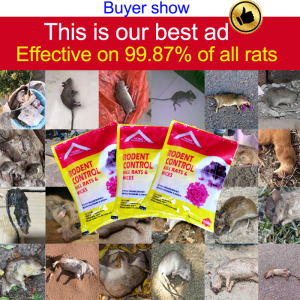 💥 2024 model is better than 99% of the products on the market💥 big rat killer poison pellet Rat killer poison Rat lure that mice like to eat Pellet 100g rat poison killer powder Plant extracts Harmless to people and pets rat trap catcher lason sa daga