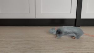 Thiết Bị Đuổi Côn Trùng Pest Reject - Máy Đuổi Chuột Gián Muỗi Ruồi Kiến Mối Bằng Sóng Siêu Âm An Toàn