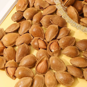 即食开口杏核薄壳五香味坚果年货零食 Instant Dried Apricot Nuts New Years Goods Snacks