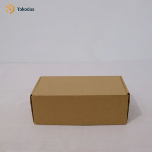 ( ISI 20 ) Kardus pizza Box Hampers 22 x 11 x 8 polos baru - Tokodus pagarsih