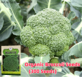 Fresh Organic Broccoli Seeds for Planting (300 Seed) biji benih brokoli 西兰花种子 High Yield Legit Broccoli Sprouts Seeds F1 Green Cauliflower Seed Microgreens Seeds Vegetables Seeds for Gardening Balcony Potted Live Vegetable Plants Veggie Seeds benih sayur. 