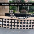 6 Ft Funny Dog Leash - Giant Plastic Chain Leash with Puppy Collar for Small Dogs, Cats, and Puppies - Black Funny Chain Dog Leash. 