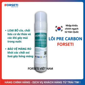 Lõi Pre Carbon FORSETI Nhập Khẩu Hàn Quốc 10Inch Dạng U (U-Type) Cắm Nhanh Giúp Loại Bỏ Chất Hữu Cơ Và Bảo Vệ Màng RO Dùng Được Cho Máy Korihome