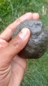 Lem Pulut Berkualitas Tinggi Pikat Burung Jadi Langsung Pakai Warna Kayu