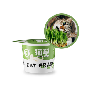 Hydroponic Cat Grass Kit Soilless Wheatgrass Hairball Relief Fast Grow Rumput Kucing 猫草
