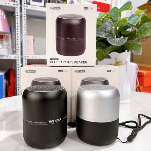 Loa Bluetooth âm thanh chất nhỏ gọn công suất 15W Wesdar K269 - Việt Bắc Car Store
