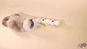 Toys for Cats Intelligent Sensing Rotating Swing Ball with Feather Tail Automatic Motion Interactive Cats Teaser Stick cat toys
