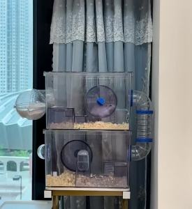 PL MYTHIS Hamster Villa Acrylic Modern Design Hamster Cage Luxury Transparent 2 Layers Low Noise Golden Bear House Little Pet Furniture