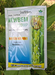 [VTNN TIEN KHOA] Thuốc trừ bệnh NewBem 750WP công ty HAI gói 100gram Trừ bệnh đạo ôn cổ bông lá dưỡng lá đòng