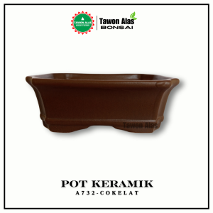 Pot Bonsai Keramik Segi Empat Persegi Panjang Small Kecil Mame Mini