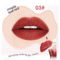 Ashley Shine Soft  Fog Lip Mud Long-lasting Waterproof Sweat 5 Colors Non-sticky Liquid Lipstick Lip Gloss AS2136. 