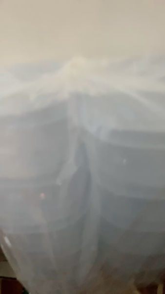 Buyer review video 2